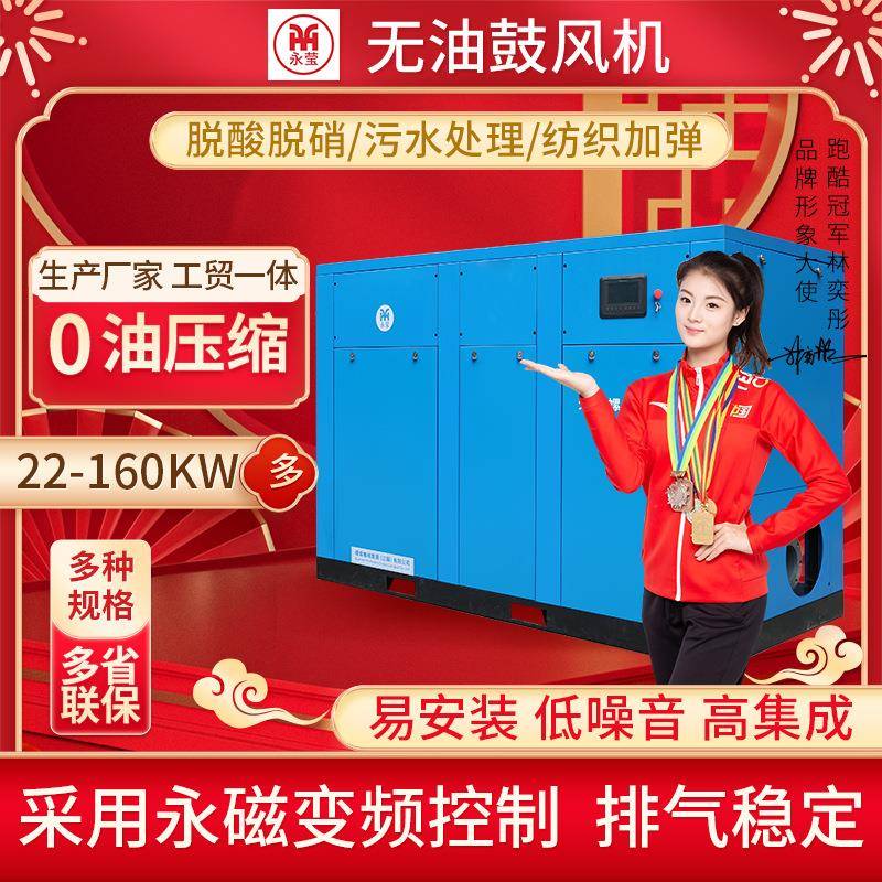 污水处理永磁变频无油螺杆鼓风机空压机45/55/75kw9.6立方纺织