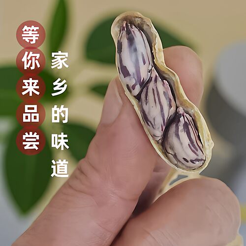 福建龙岩湿烤七彩花生带壳酥脆