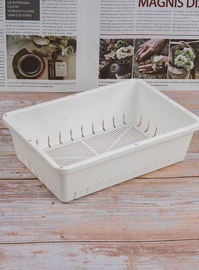 白色加厚多肉叶插育苗盆塑料生石花肉锥育苗盘小号种植播种花盆