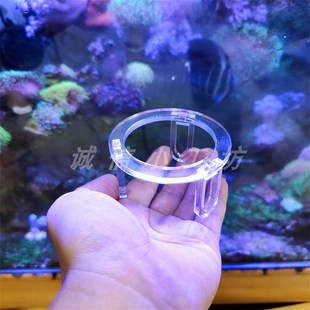 脑珊瑚基座皇海瓦片脑提升台纽扣繁殖底座瓦片拼盘富士八字脑基座