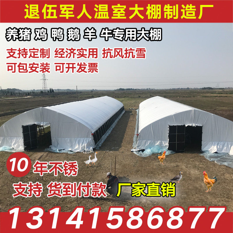 椭圆管热镀锌养鸡鸭鹅猪牛菌菇水产养殖大棚钢管骨架蔬菜种植花卉,农机/农具/农膜,温室大棚支架,淘宝优惠券,粉丝福利购,淘宝优惠卷