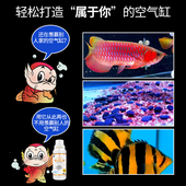 壹诺硝化细菌鱼缸用净水剂水族鱼药水质稳定剂净化剂消化细菌一诺