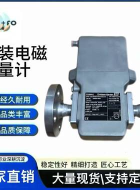 EH恩德豪斯智能罐装电磁流量计5SH08-7F0H1AB041B1A分体式高精度