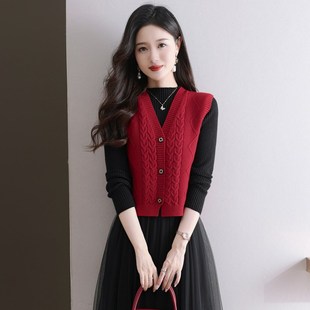 针织小马甲女外搭背心2024新款秋季毛线叠穿马夹配裙子毛衣两件套