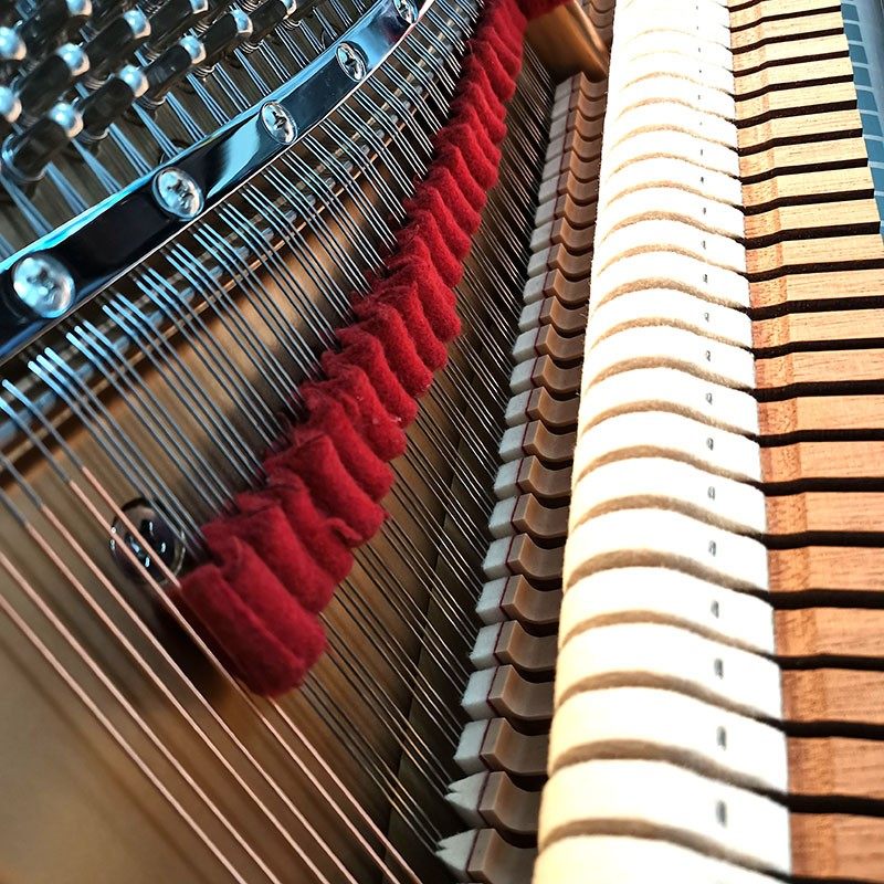 后浪器乐 钢琴通用止音带 调音调律专业工具配件羊毛毡静音弱音条,乐器/吉他/钢琴/配件,乐器工具,淘宝优惠券,粉丝福利购,淘宝优惠卷