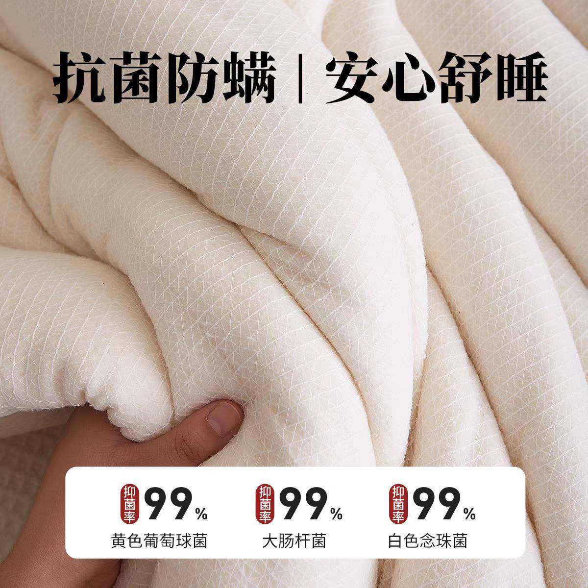 新生疆棉花棉胎被子芯被学宿舍棉絮冬被加厚暖棉被床保垫铺底CW-J,床上用品,棉花被,淘宝优惠券,粉丝福利购,淘宝优惠卷