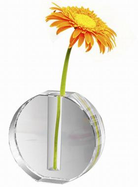 水晶玻璃小瓶轻奢高级感迷你水培小花花瓶桌饰小餐清新213801+2花