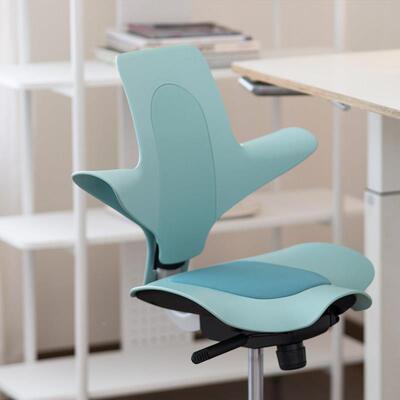 Omid人体工学骑椅马6152椅办公电脑写椅家用久坐护腰学习字椅马鞍