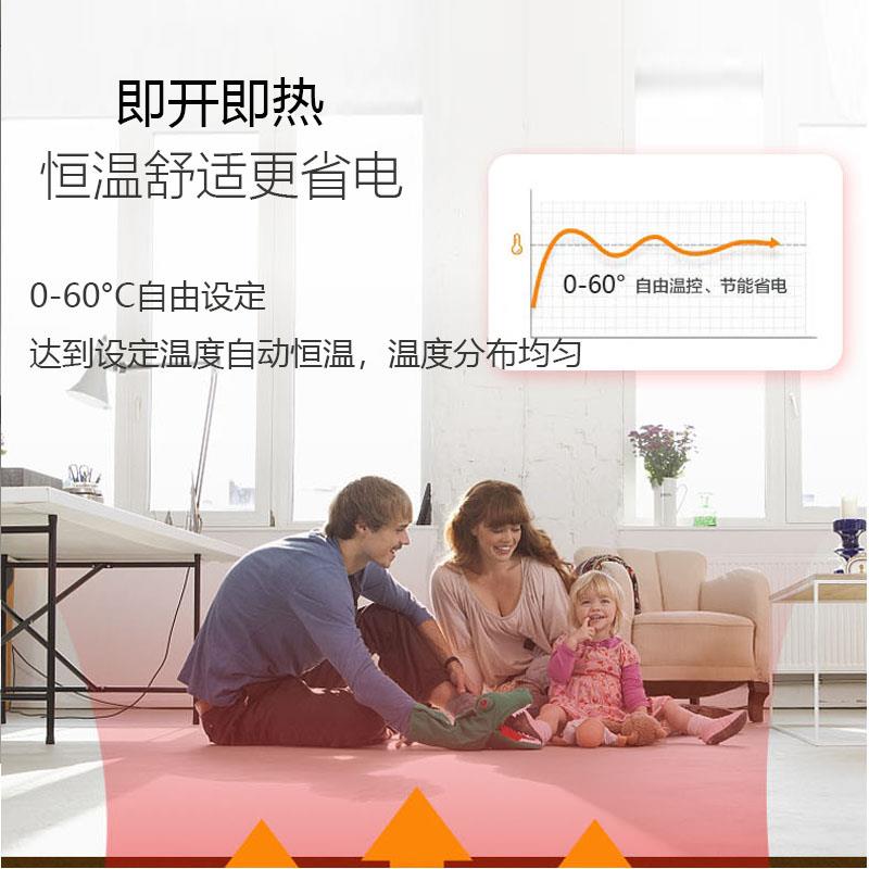 2024可拆洗石007墨烯电热地毯客厅地垫家地用发热热毯加热暖地垫