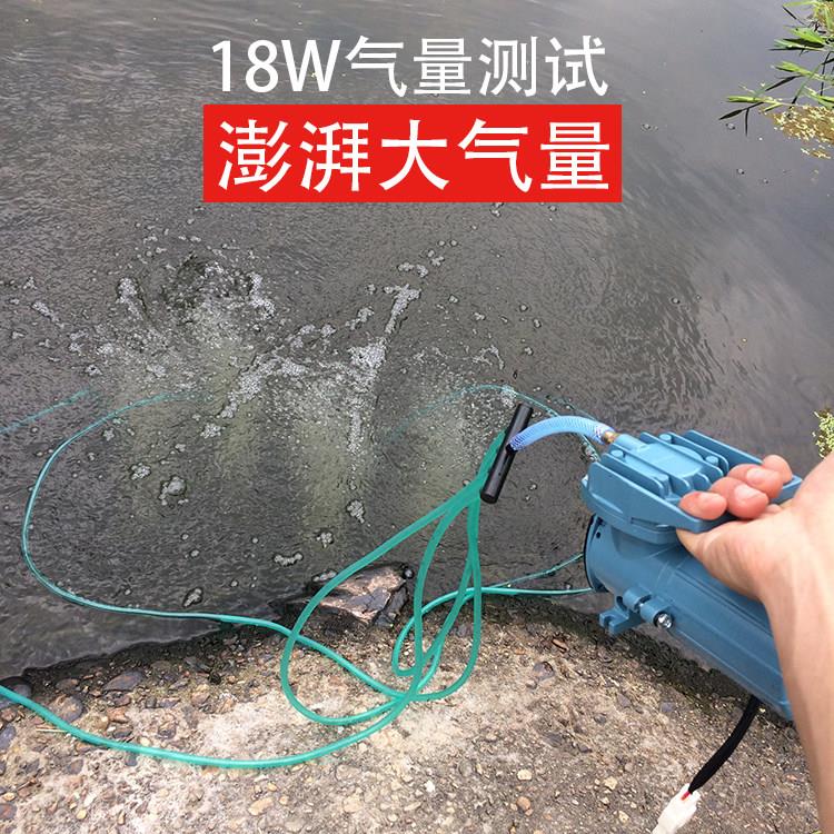 泵12V打氧机户外卖鱼户MPQ系列专用车载增氧直流瓶增氧电机养鱼外