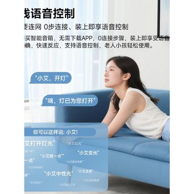 客厅风扇2气025款节新能一体客厅现代简约灯高端大大尺寸长方