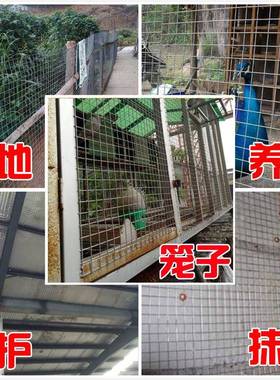 镀锌铁丝网热浸镀锌钢小丝防网栏围防锈孔格网户外栅栏OEN养殖护