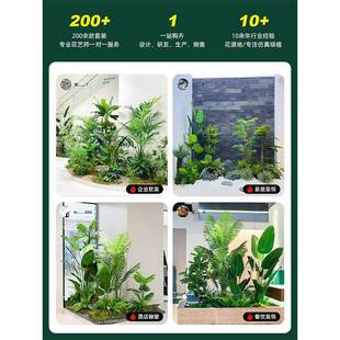 彷真绿色物造景组阳台角景观布置室内植假植造景-XK6物橱窗装饰楼