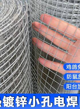 热镀GFA锌铁丝网电焊网小孔鸭防鼠防蛇锈网阳台窗户防护网养栏殖