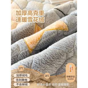 冬季 加SWE厚保舍暖牛奶绒床床垫床盖宿学生珊瑚绒单床垫被单人毛
