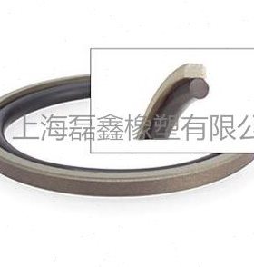 STD格来圈GSF580*555.5*8.1(O型圈在内) 活塞组合油封PG孔用