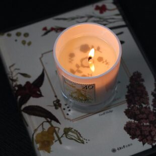 matterlab纯植物蜡花果香香薰蜡烛礼盒新年礼物吾所味