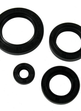 适用春风CH250大沙CH125/150cc全车油封水冷大绵羊动力气门油封