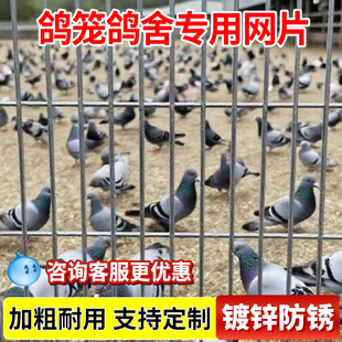 镀锌网片鸽笼鸽舍围栏底网围网加粗长孔养殖网鸟笼隔离防护铁丝网