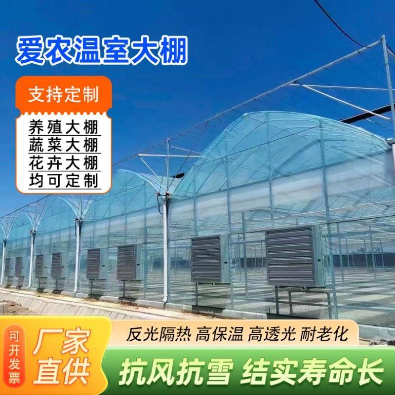 农业外遮阳温室大棚植物蓝莓苗种植大棚连栋恒温连体大棚拱形大棚