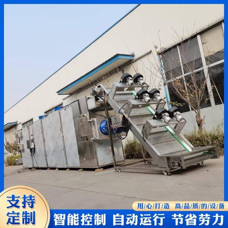 小鱼网带式烘干机蔬菜全自动烘干设备电加热隧道式烘干流水线