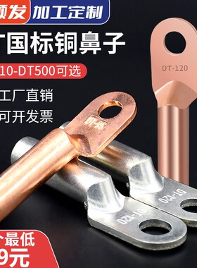 优质国标DT铜鼻子接线端子紫铜镀锡10 16 50 95 120Y平方线耳接头