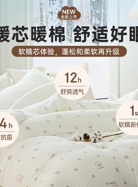 A类母螨婴102005菌防亲肤透气新疆棉春秋被抗加厚冬被