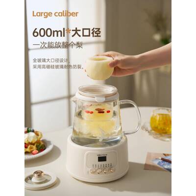 金正玻璃养生壶恒温31216家用多小功能办公室型陶煮花茶新电款炖
