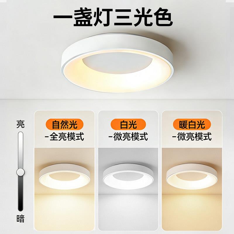 户外阳吸台顶灯防水防虫自建门房别圆环吸顶墅庭室外大院口露台入
