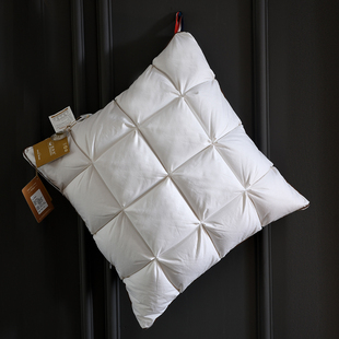 床头羽绒靠垫芯大靠背垫客厅沙发抱枕95白鹅绒办公室腰枕卧室靠枕