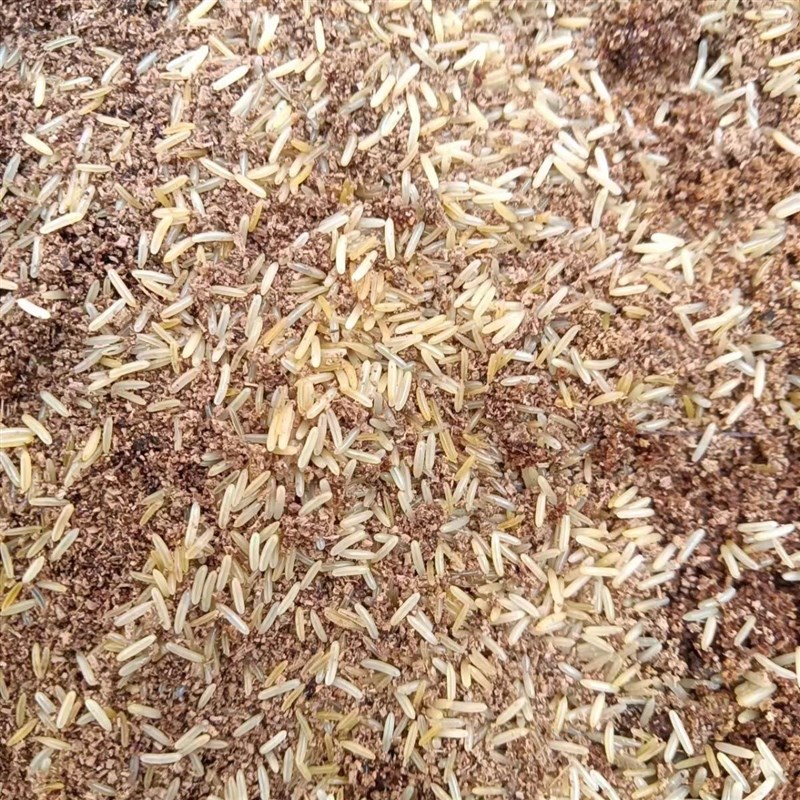 油葫芦段青冰糖紫卵自家份房产出回家自己动手