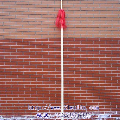 游龙武术枪B型 :红缨枪 枪术 少林枪/新款普通传统形(铜管枪头)