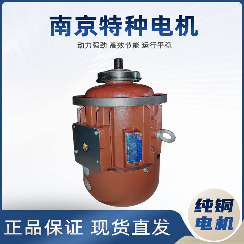 南京特种电机ZD141-47.5KW锥形转子异步电机5T电动葫芦起升电机