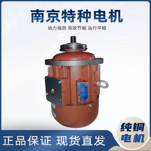 南京特种电机ZD141-47.5KW锥形转子异步电机5T电动葫芦起升电机
