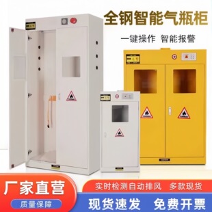 防爆气瓶柜安全柜实验室气体报警单瓶柜液化气罐钢瓶乙炔氧气瓶柜
