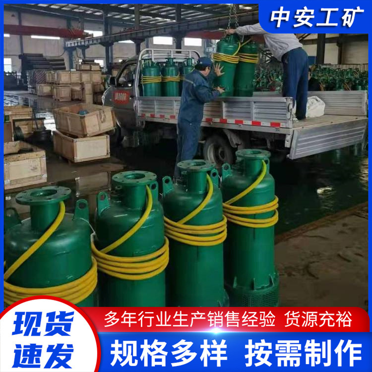 排污能力强防缠绕无堵塞 排污泵 BQS50-60/2-18.5/B 排沙泵