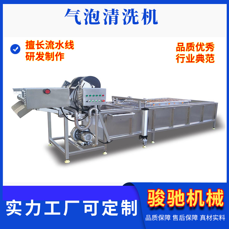 气泡清洗机洗菜机 商用净菜加工设备 果蔬清洗酱菜气泡清洗机