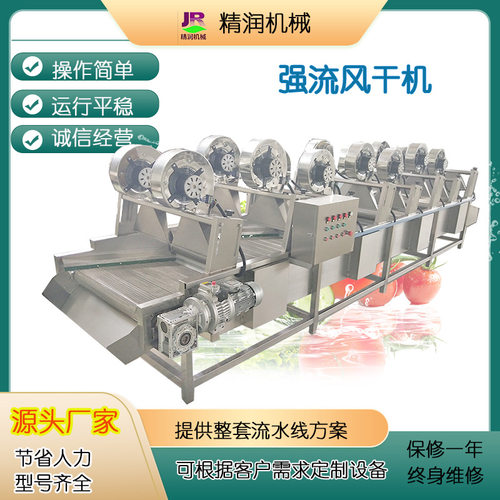 大型荷兰豆清洗风干流水线大枣清洗风干机全自动果蔬强流风干机