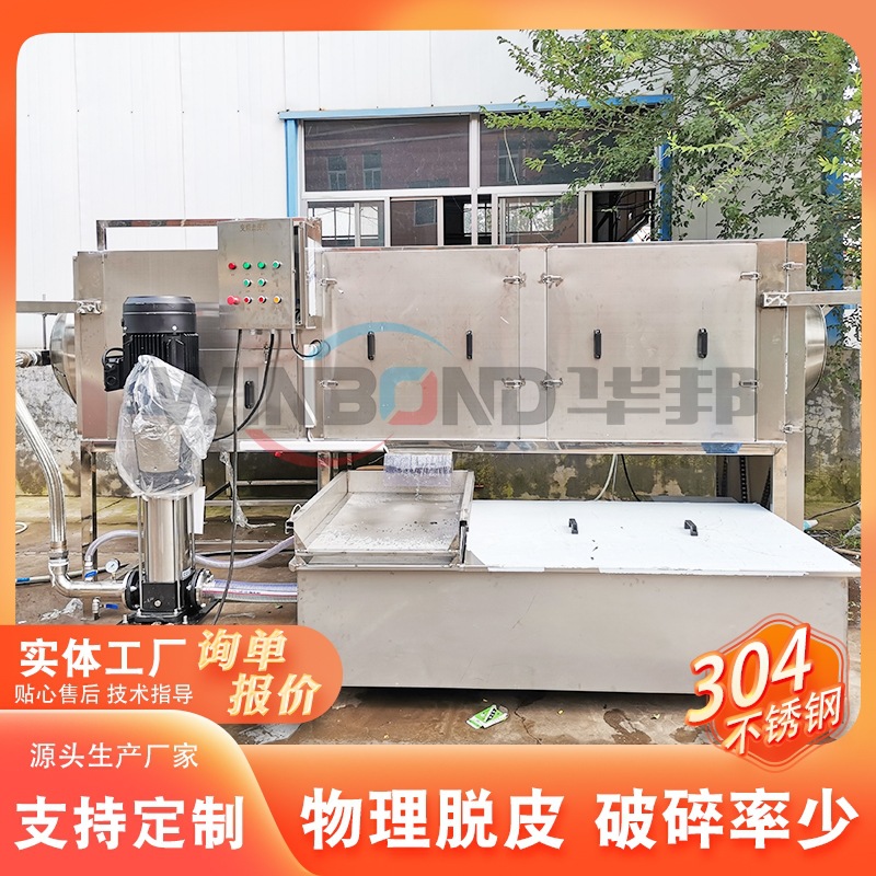 数字化核桃仁去皮清洗机厂家供应 智能系统控制 纯物理脱皮设备