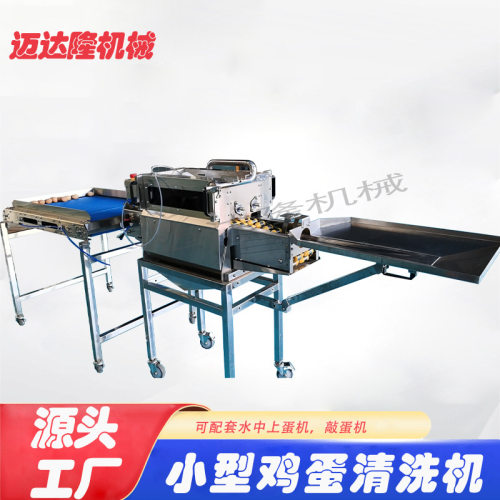 厂家直发洗蛋机鸡蛋清洗机养殖场设备全自动清洗方便蛋制品清洗