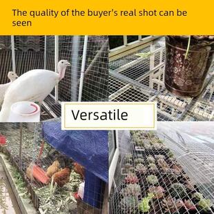 镀锌铁丝网防护栏围网防鼠蛇网养殖网电焊网阳台多肉鸽鸟笼格网片
