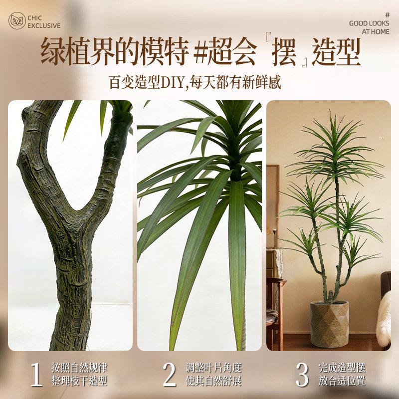 仿真植轻奢高端千年铁树绿盆栽室假内千年铁20旁家居商铺假植物电