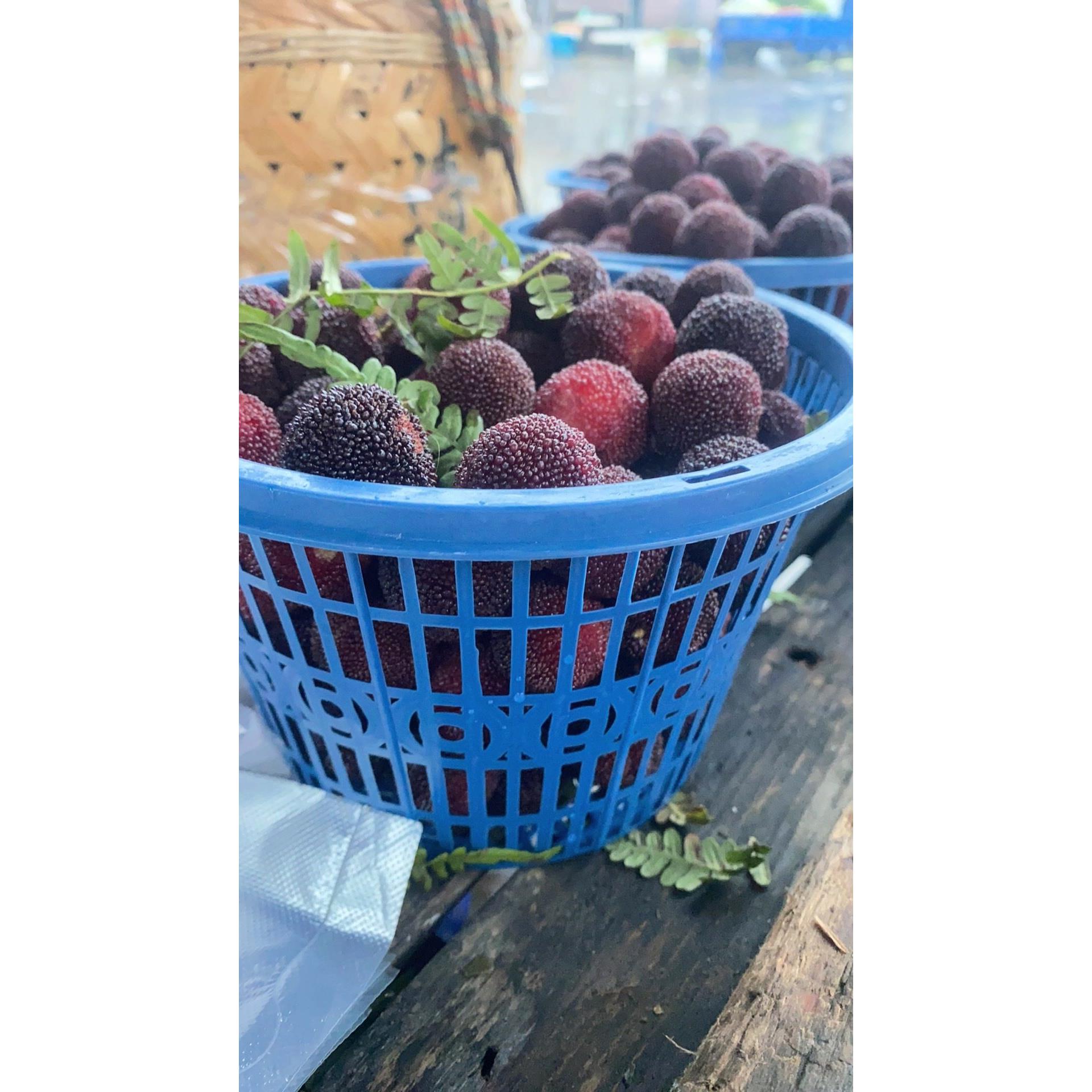 杨加厚圆形塑草莓AVV篮梅水果篮蔬菜提桑葚采摘手筐蓝莓枇杷鸡蛋