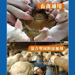 兽用猪用胃肠安断奶仔猪小猪黄白改善肠道菌群消化母猪牛羊鸡鸭鹅