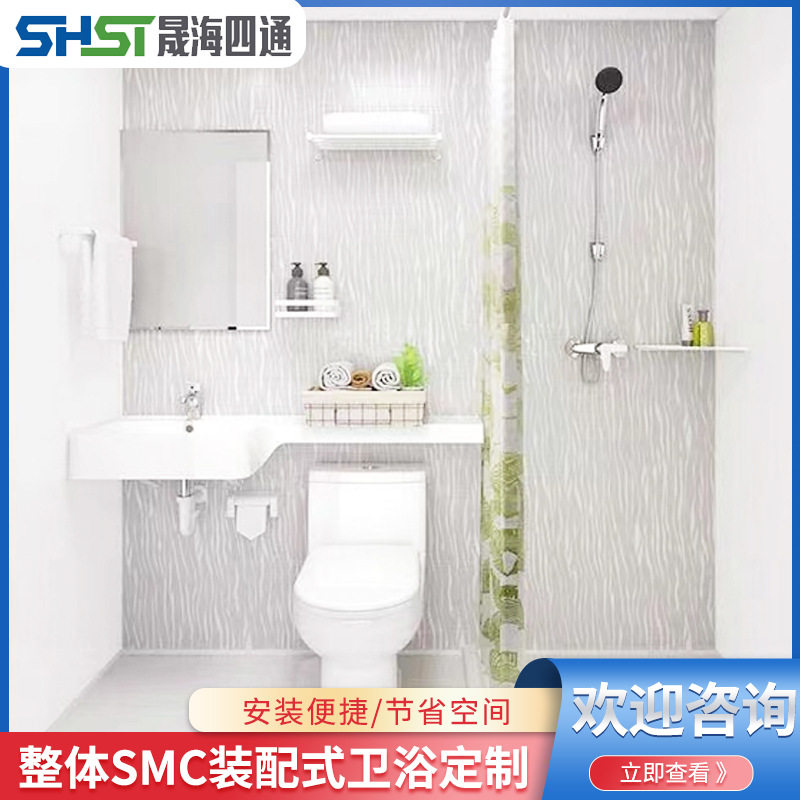 整体式淋浴房集成卫生间干湿分离浴室家用室内洗澡房独立淋马桶房