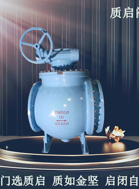 DYQ340F-10C污水天然气铸钢涡轮法兰球阀泉州质启偏心半球阀 DN50