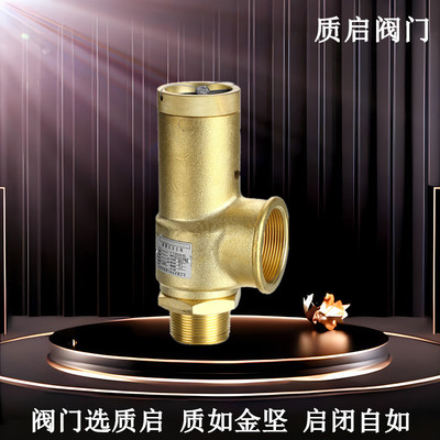 AK22X-16T阿特拉斯ATLAS弹簧式安全阀 埃弗斯安全阀 空压机配件32