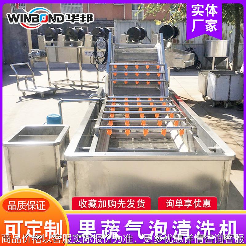 厂家供应 蔬菜清洗设备 娃娃菜气泡清洗机 大型净菜加工设备