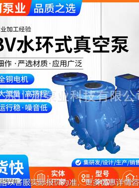 2BV系列水环式卧式真空泵 厂家供应电动循环水泵真空干燥机冻干机