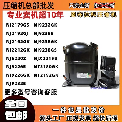 恩布拉克压缩机NJ2179GS NJ2192 NJ6220Z NJ9226E NJ9238E NT2180